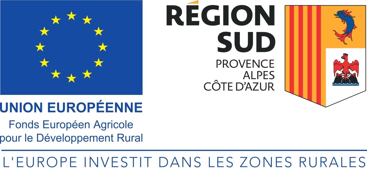 Logo Europe et Région